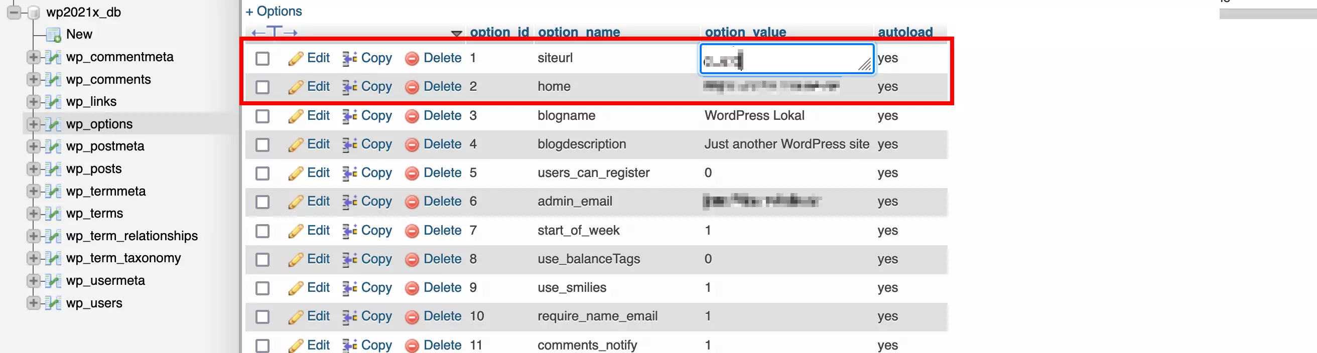 wp_options en la base de datos de WordPress