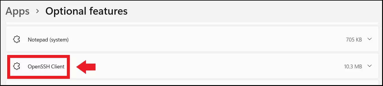 El menú Características opcionales con el cliente OpenSSH en Windows 11