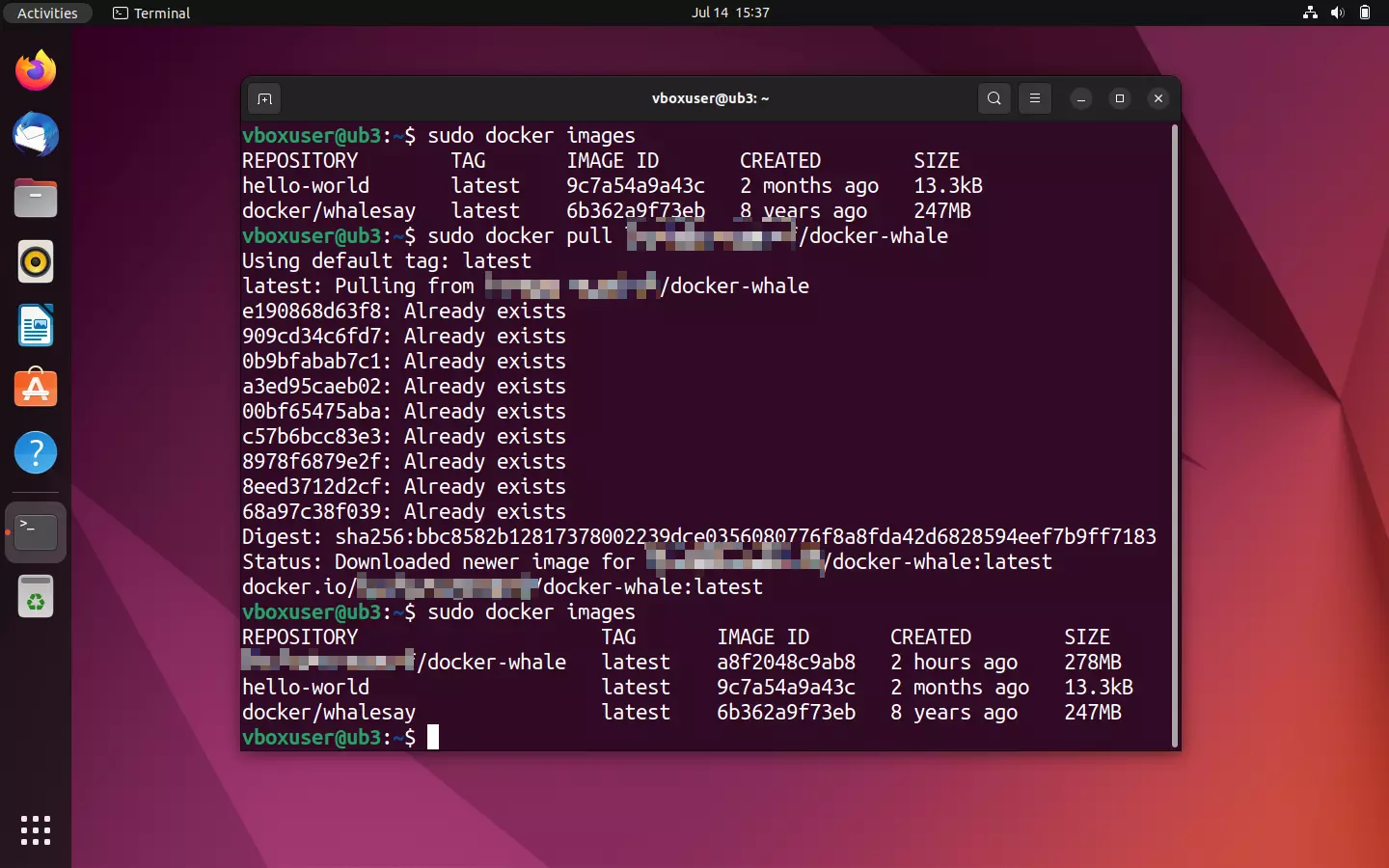 Terminal Ubuntu: descarga desde Docker Hub