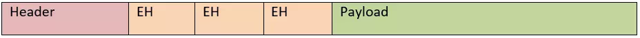 El formato de paquetes de IPv6