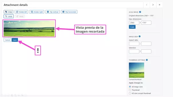 Guardar la imagen recortada en la mediateca de WordPress