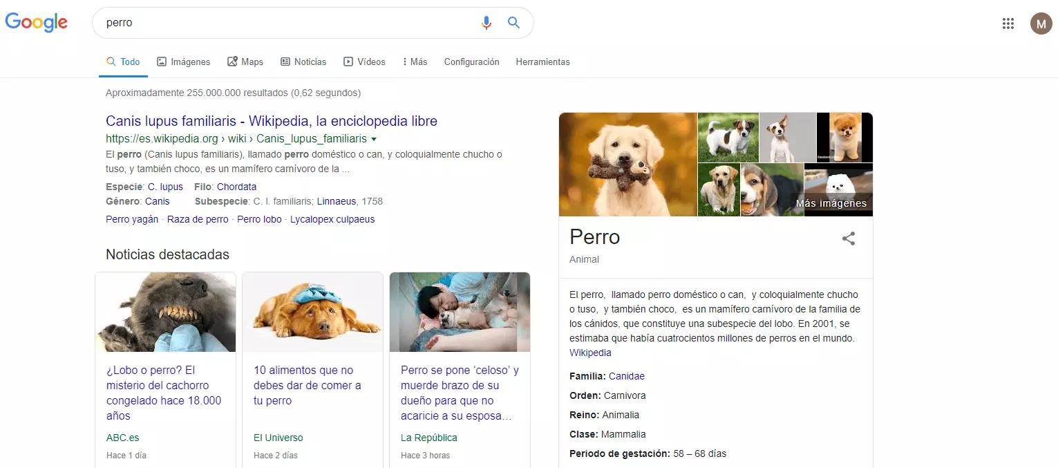 Knowledge Graph de la búsqueda “perro”