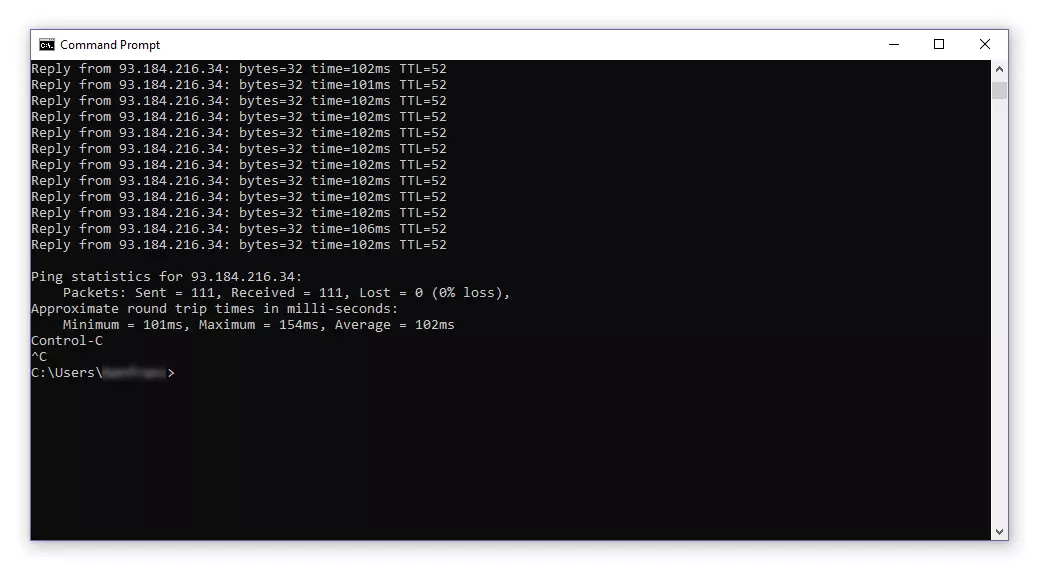 Ping infinito en un terminal de Windows