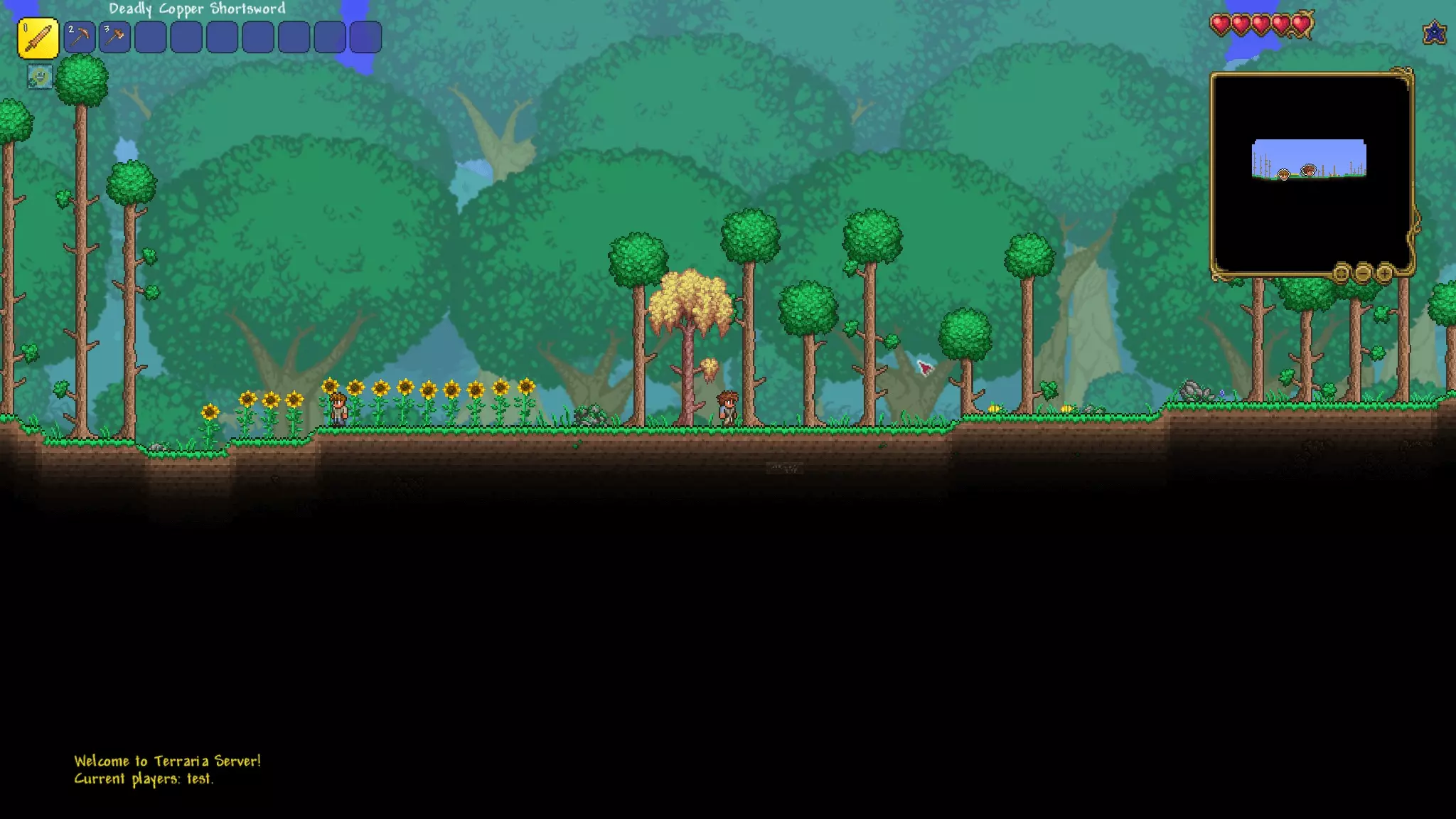 Captura de pantalla de Terraria