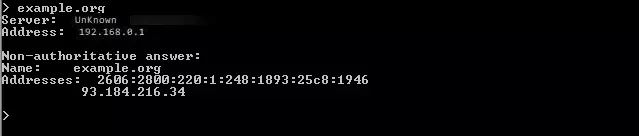nslookup en Windows: petición a través del dominio example.org
