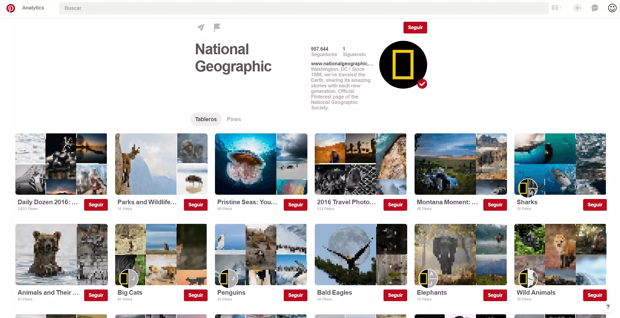 Vista del perfil de National Geographic en Pinterest