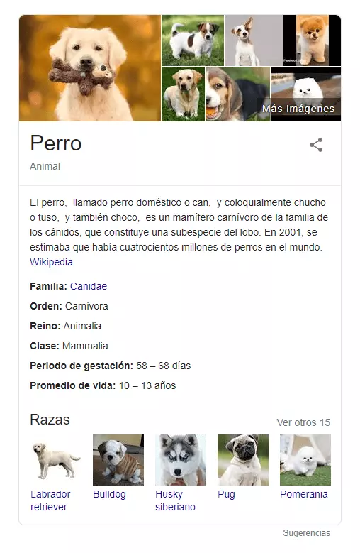 Panel de conocimiento de un Knowledge Graph para la búsqueda “perro”